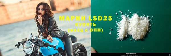 стафф Верхний Тагил