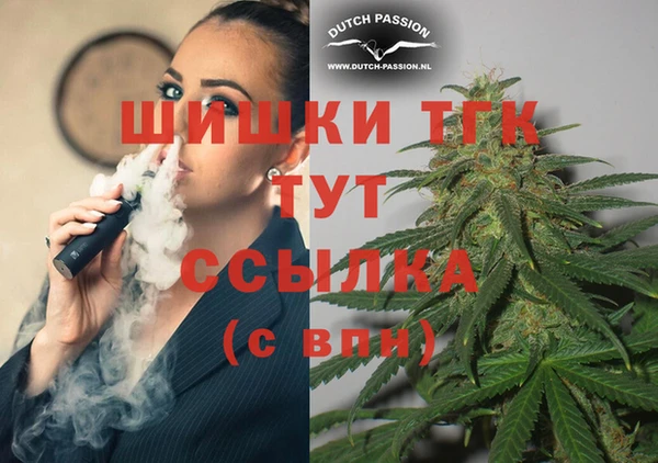 стафф Верхний Тагил