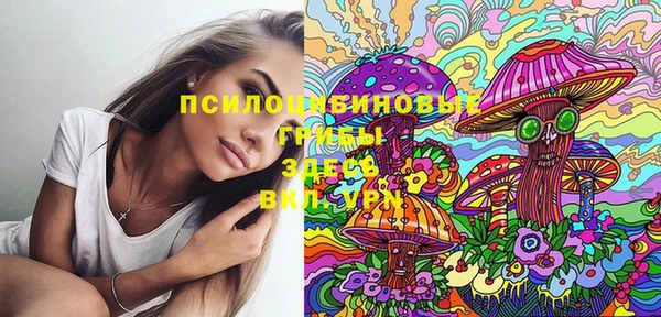 стафф Верхний Тагил