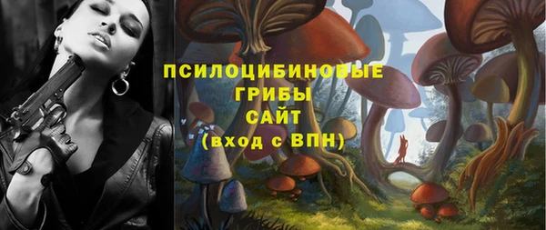 стафф Верхний Тагил