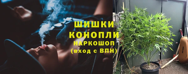 прущая мука Верея